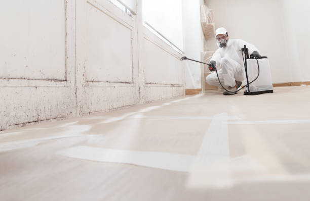 24/7 Emergency Attic Mold Remediation experts in Point Pleasant, PA