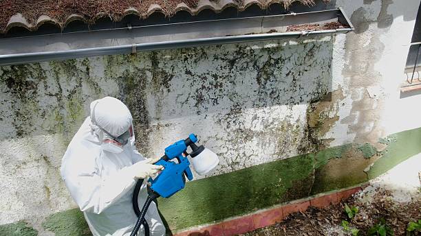 Top rated local Attic Mold Remediation specialists in Point Pleasant, PA